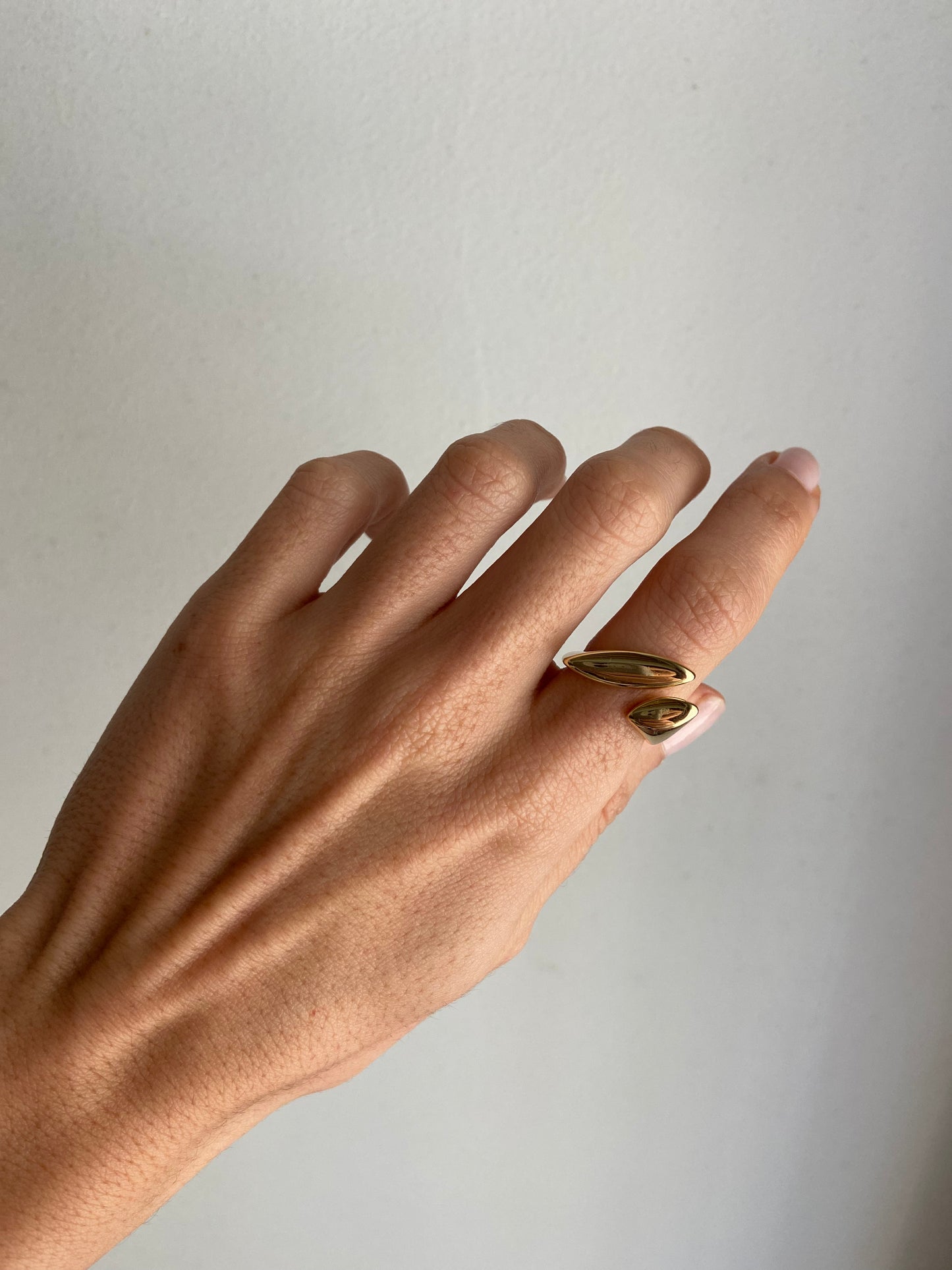 Anillo Vio