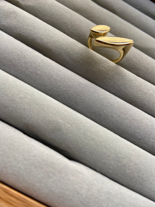 Anillo Vio